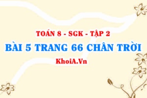 Bài 5 trang 66 Toán 8 Chân trời sáng tạo Tập 2